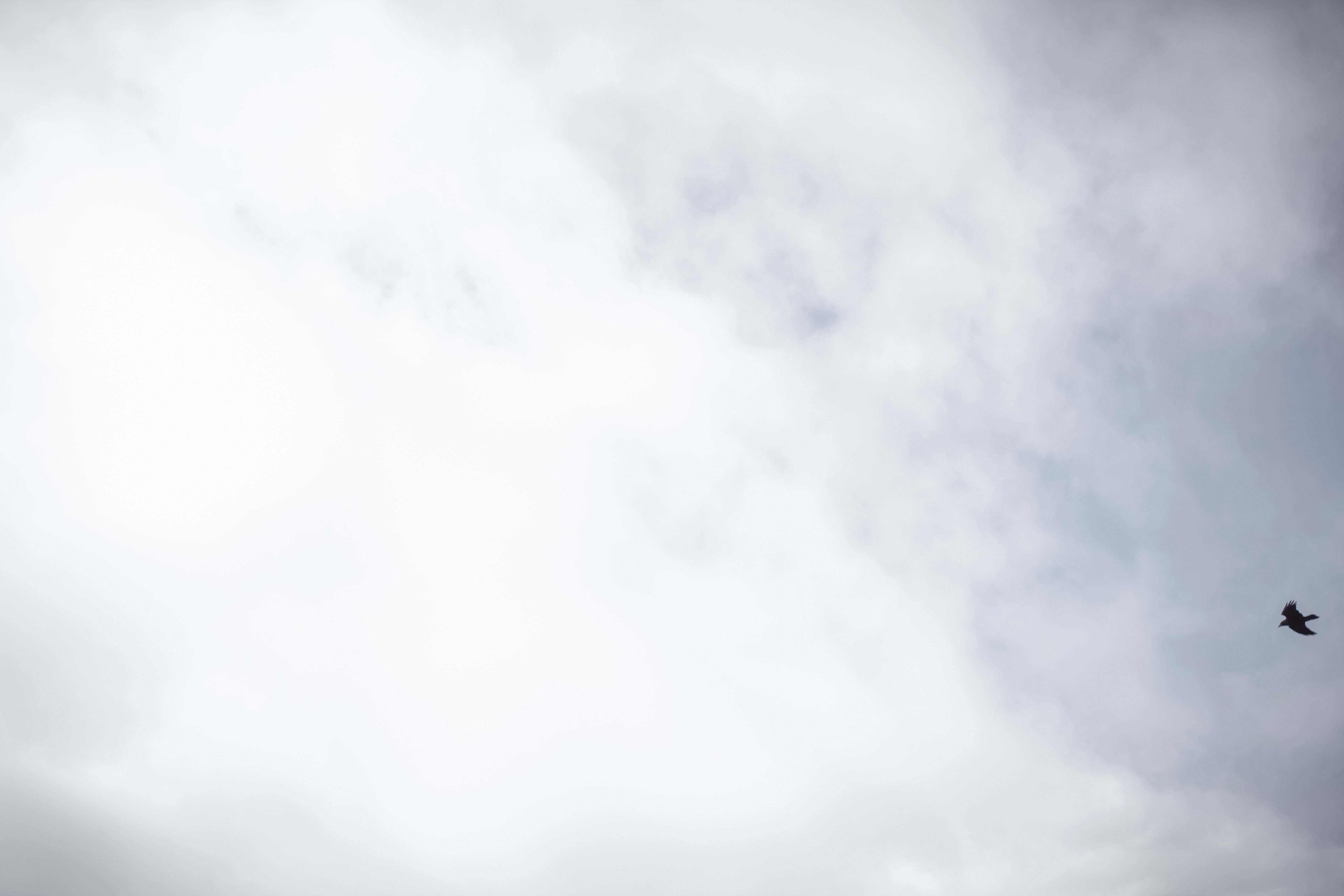 White Clouds In The Sky Image Free Photo